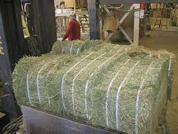 Baler Strapping in Agricultural Haystacks