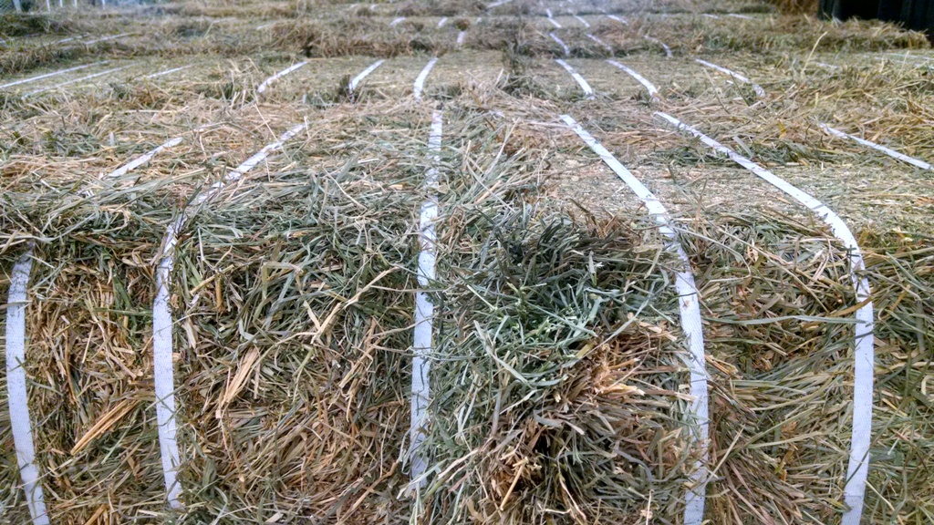 Baler Strapping in Agricultural Haystacks